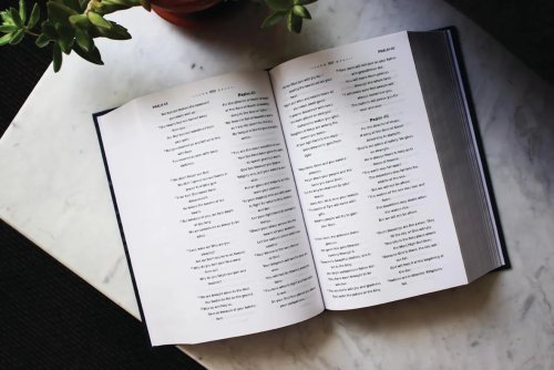 NIrV, Clear Focus Bible, Hardcover, Charcoal/Blue