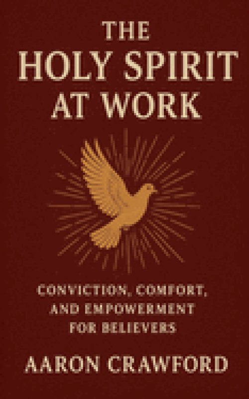 The Holy Spirit at Work: Conviction, Comfort, and Empowerment for Believers