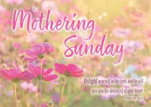 On Mothering Sunday - Postcard Pink (Pack of 24)