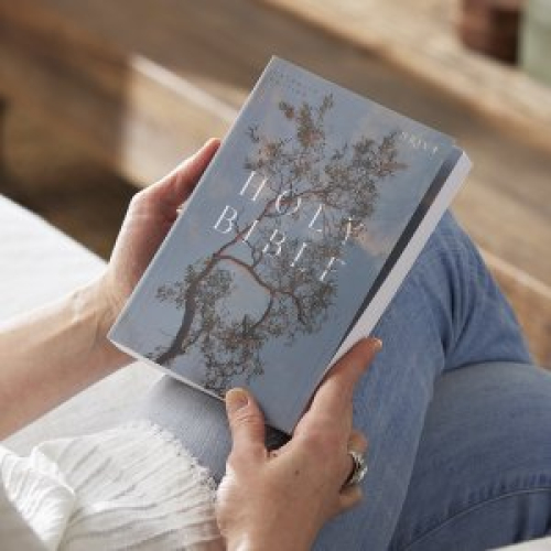 NRSV Catholic Edition Bible, Eucalyptus Paperback (Global Cover Series)