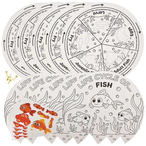 Fish Life Cycle Colour-In Sticker Wheels (Pack of 5)
