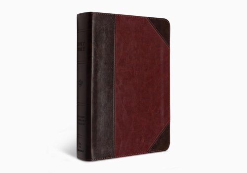 ESV Reader's Bible (TruTone, Brown/Cordovan, Portfolio Design)