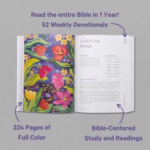 A Beautiful Year in the Bible: The 52-Week Bible Study for Women