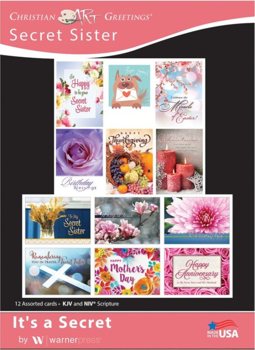 Boxed Cards - It's a Secret (pack of 12)