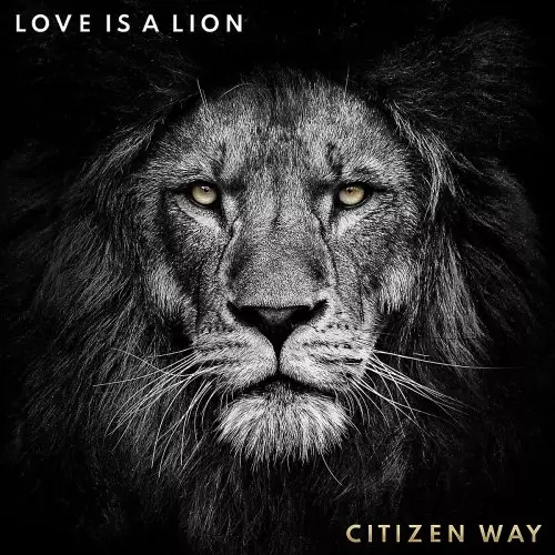 Love Is A Lion