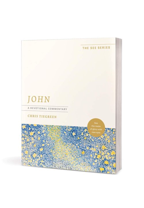 John: A Devotional Commentary