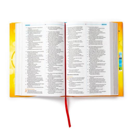 CSB One Big Story Bible