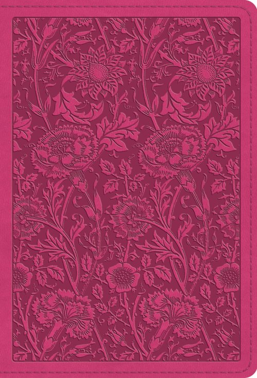 ESV Large Print Compact Bible, Red Letter, Pink and MAF Bible Donation