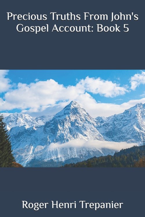 Precious Truths From John's Gospel Account: Book 5