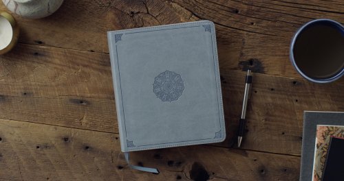 ESV Journaling Bible (TruTone, Paris Sky, Emblem Design)
