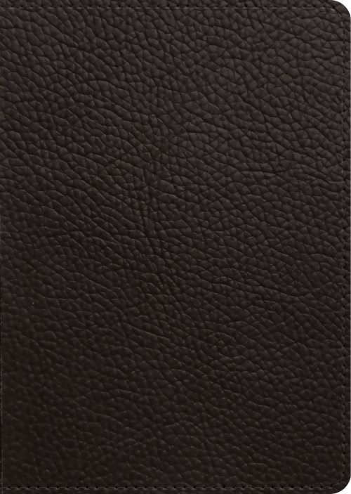 ESV New Testament, Large Print (Buffalo Leather, Deep Brown)