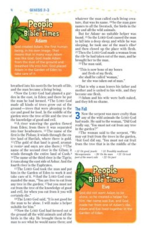 NIV, Adventure Bible, Imitation Leather, Pink, Full Color