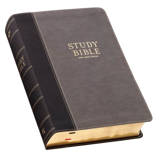 KJV Black and Gray Faux Leather King James Study Bible with Thumb Index