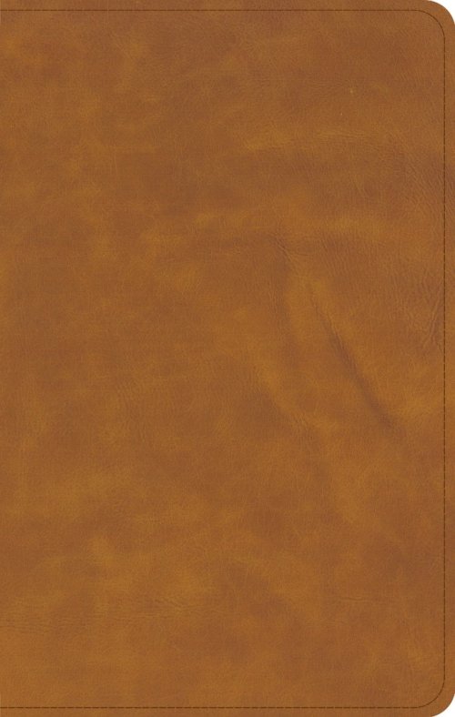 CSB Personal Size Bible, Saddle