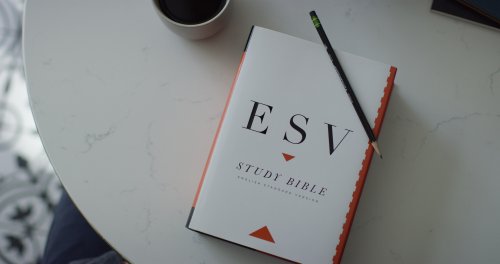 ESV Study Bible, Large Print, Thumb Indexed (Hardcover)