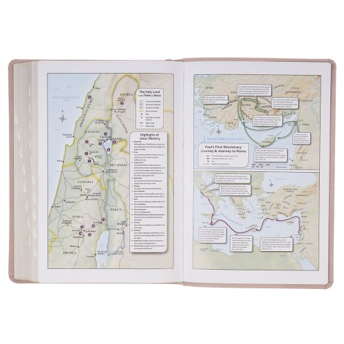 KJV Bible Giant Print Full-size Faux Leather, Blush Pink