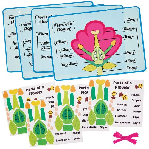 Flower Parts Biology Kits (Pack of 4)