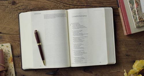ESV Single Column Journaling Bible (TruTone, Blush Rose, Wildflower Design)