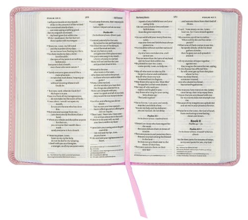 NIV Pocket Bible, Pink, Imitation Leather, Boxed and MAF Bible Donation