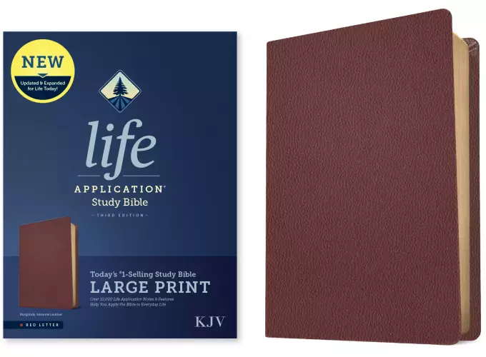 KJV Life Application Study Bible, Third Edition, Large Print (Genuine Leather, Burgundy, Red Letter)