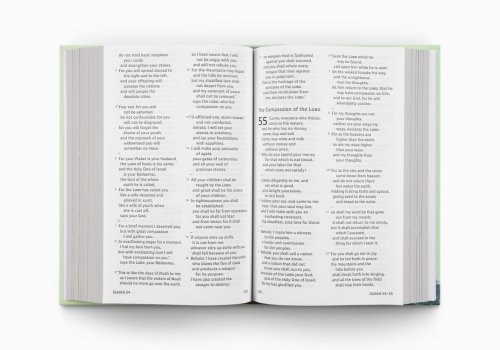ESV Holy Bible for Kids: Dyslexia-Friendly Edition