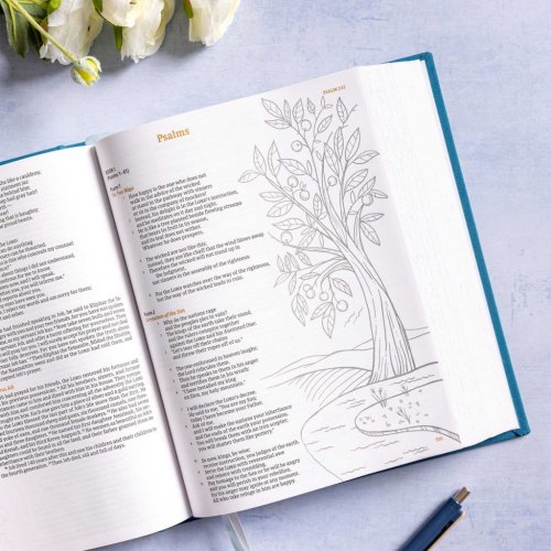 CSB Illustrator's Notetaking Bible, Large Print Edition
