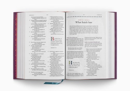 ESV The Biggest Story Holy Bible for Kids (Hardcover)