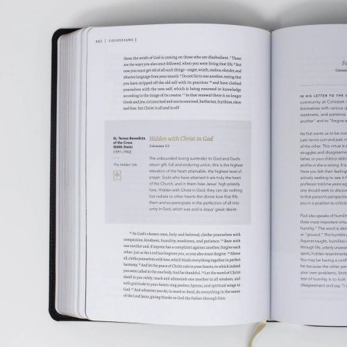 The Word on Fire Bible: Volume 2