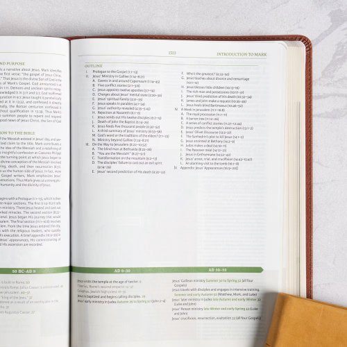 NASB Study Bible, Burnt Sienna Leathertouch