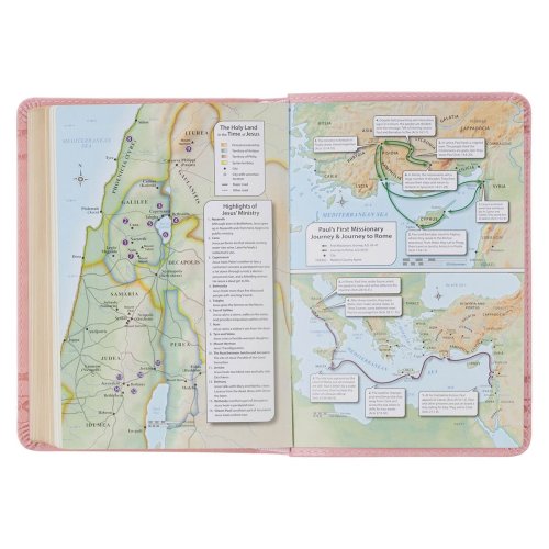 KJV Crown of Thorns Pink faux Leather Large Print Compact King James Bible