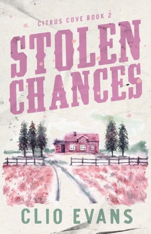 Stolen Chances: A Single Mom, MMF, Small Town Romance Suspense