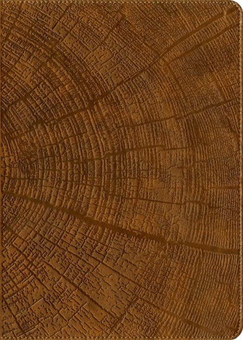 KJV Chronological Life Application Study Bible, Second Edition (LeatherLike, Heritage Oak Camel)