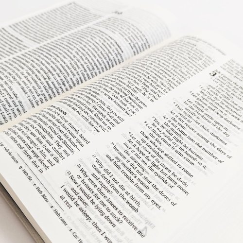 NRSVue Holy Bible, Pale Grey Hardback, Olive Illustration, Navy Ribbon Marker, British Text, NRSVue New Revised Standard Version Updated Editio