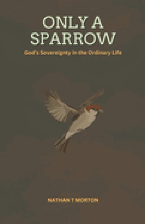 Only A Sparrow: God's Sovereignty in the Ordinary Life