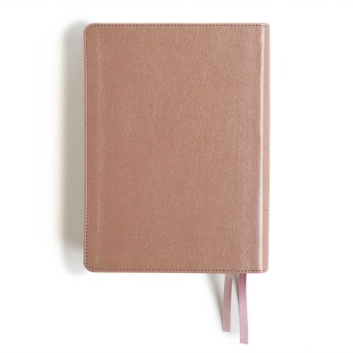 CSB Study Bible, Personal Size Edition, Rose Gold