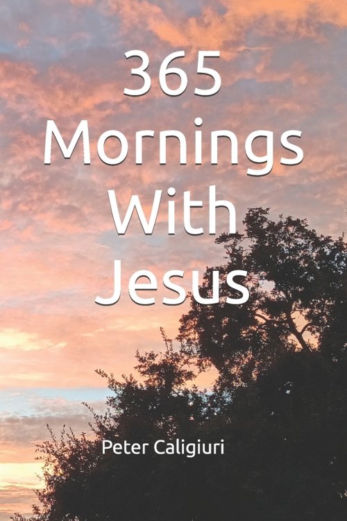 365 Mornings With Jesus