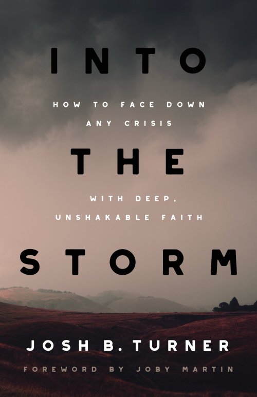 Into the Storm