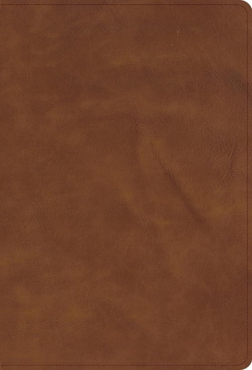 CSB Single-Column Compact Bible, Zipper Closure, Tan