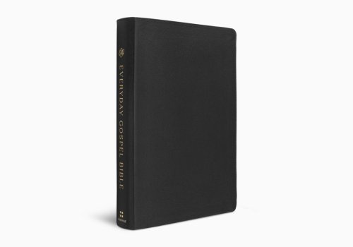 ESV Everyday Gospel Bible
