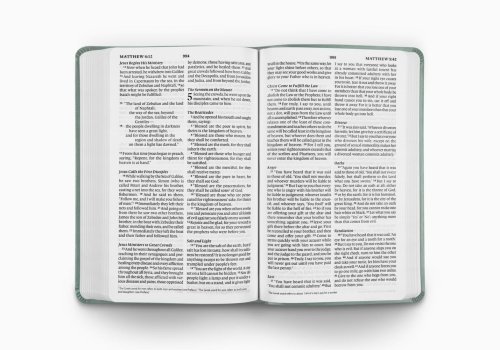 ESV Value Thinline Bible (TruTone, Paris Sky, Fleur-de-lis Design)