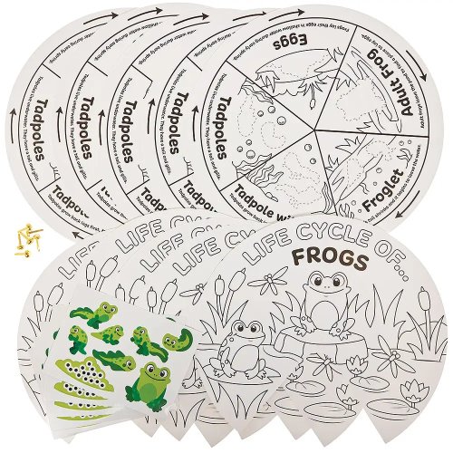 Frog Life Cycle Colour-In Sticker Wheels (Pack of 5)