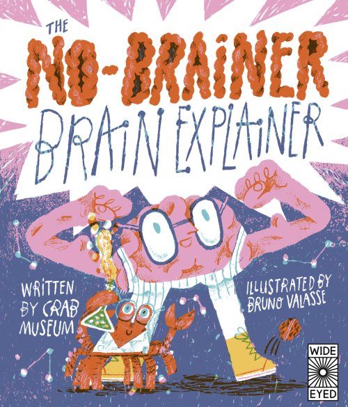 No-brainer Brain Explainer