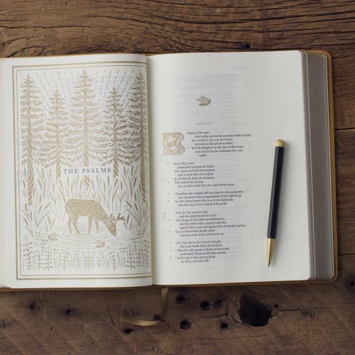 ESV Illuminated™ Bible, Art Journaling Edition (TruTone, Nubuck Caramel, 1 Chronicles 16:34 Design)