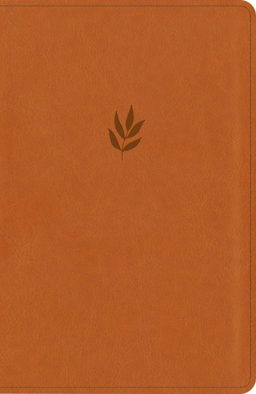 NLT Personal Size Giant Print Bible, DaySpring Signature Collection, Filament Enabled (LeatherLike, Classic Tan, Red Letter)