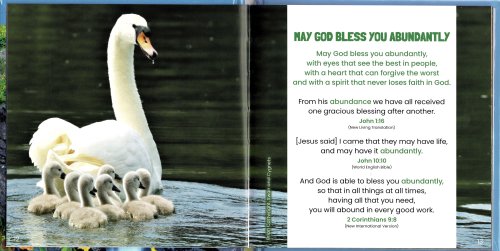 Abundant Blessings