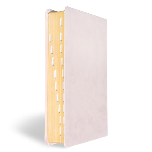 KJV Large Print Personal Size Reference Bible, Pink