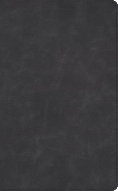 CSB Single-Column Wide-Margin Bible, Slate Calfskin