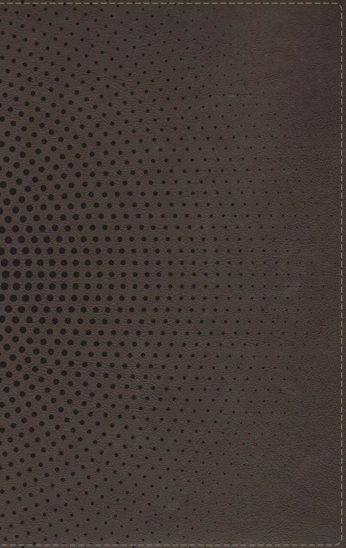 NASB, Clear Focus Bible, Leathersoft, Charcoal Brown
