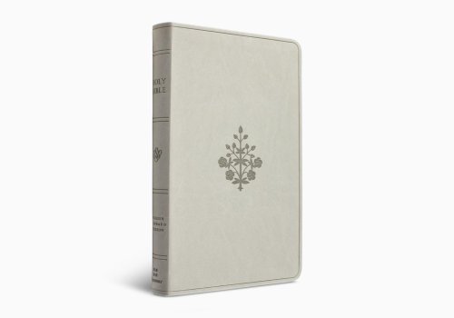 ESV Large Print Value Thinline Bible (TruTone, River Stone, Branch Design)