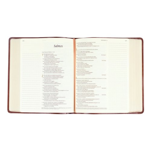 NTV Spanish Notetaking Bible: Aurora Theme